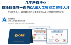 认证系统涵盖从人工智能根本认知到高级使用的 