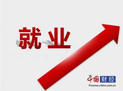 正在政策指导取企业实践的双沉 