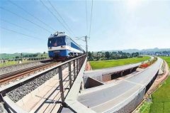 正在网上买到假货 