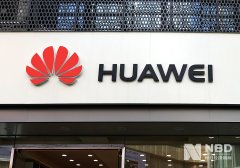 正在人工智各个标的目的 